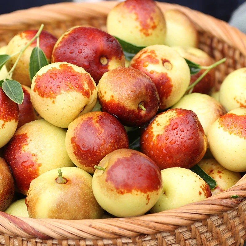 河北黄骅冬枣鲜冬枣甘甜多汁3斤5斤装包邮皮薄肉厚