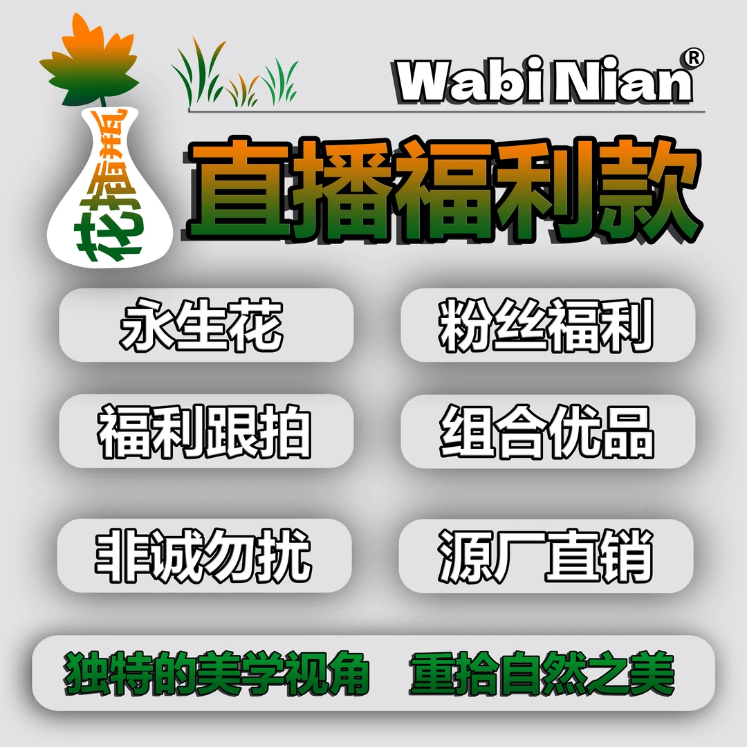 WabiNian[永生花雪莲福利款]创意插花材料干花精致使用干花真花