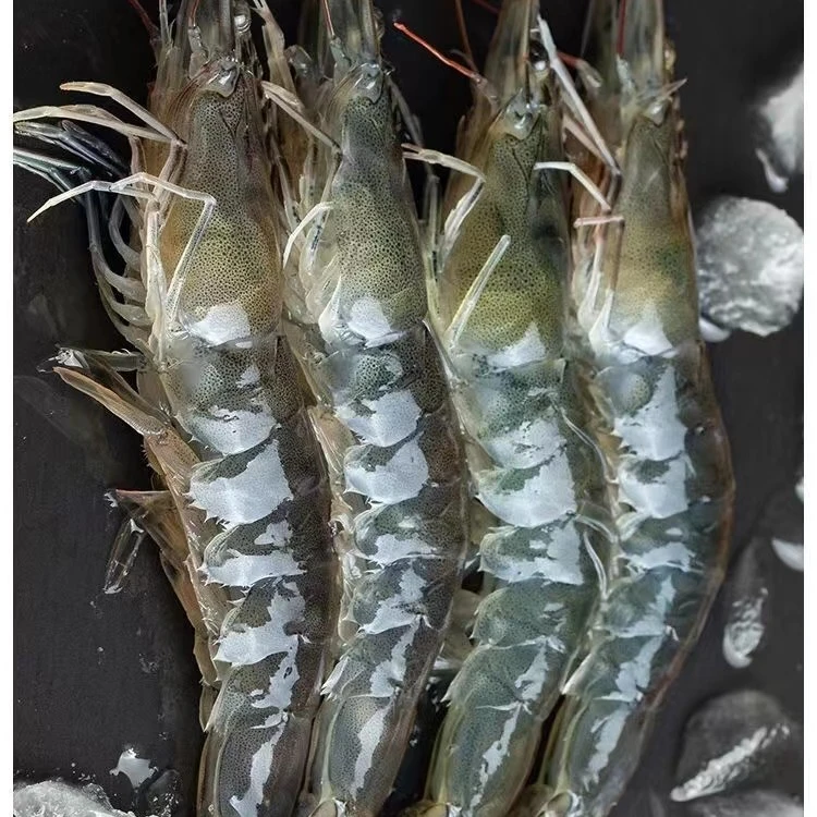50-60大虾鲜活速冻冻虾青虾海虾虾类海鲜水产
