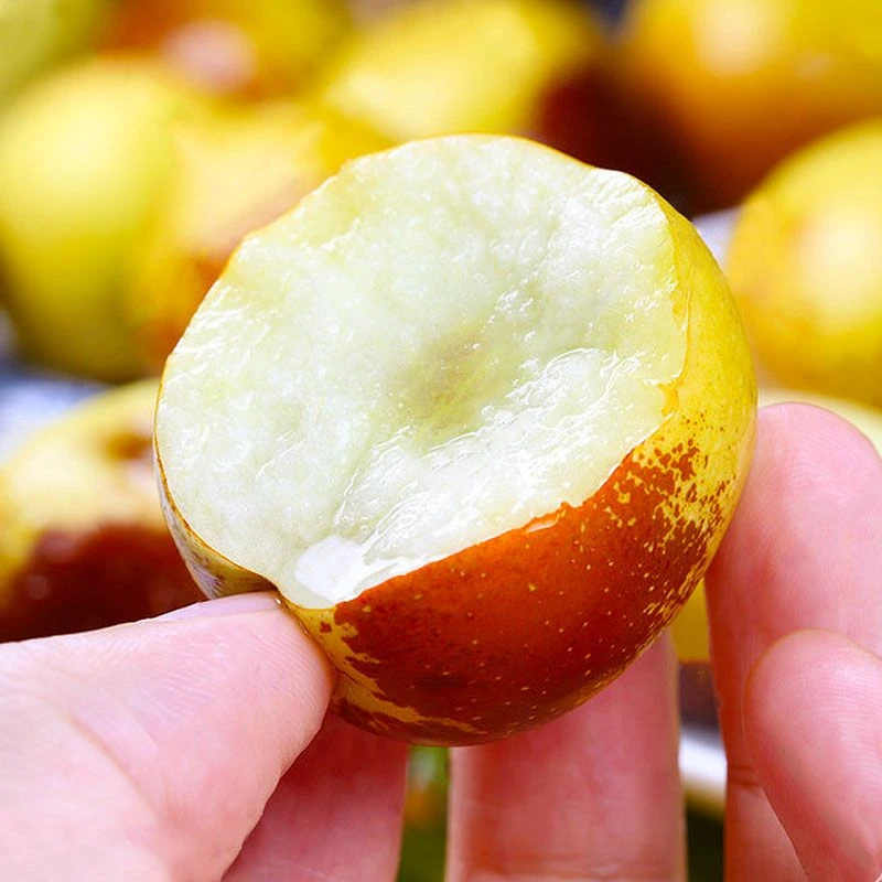 【旺笙果记】爆甜冬枣新鲜水果脆甜大枣运城庙上冬枣脆枣鲜枣青红栆