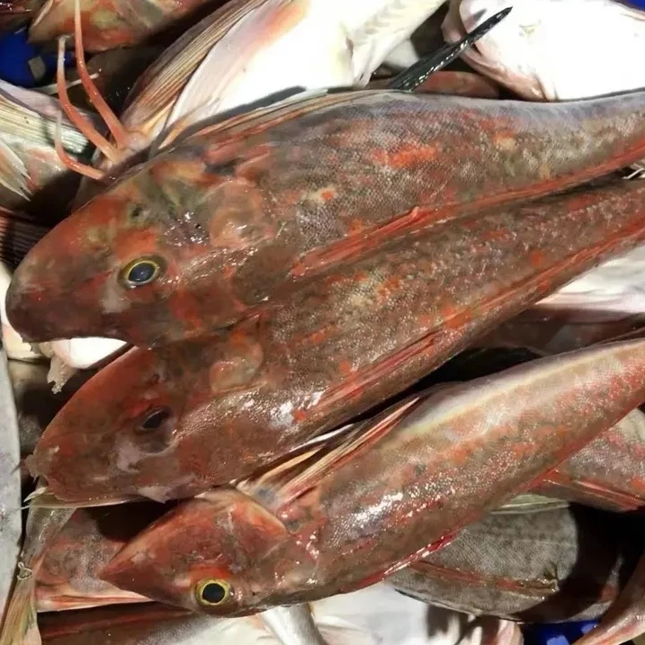神泉本港红油角鱼  2-3条一斤油甲鱼  洗杀好400g  广东省5斤包邮