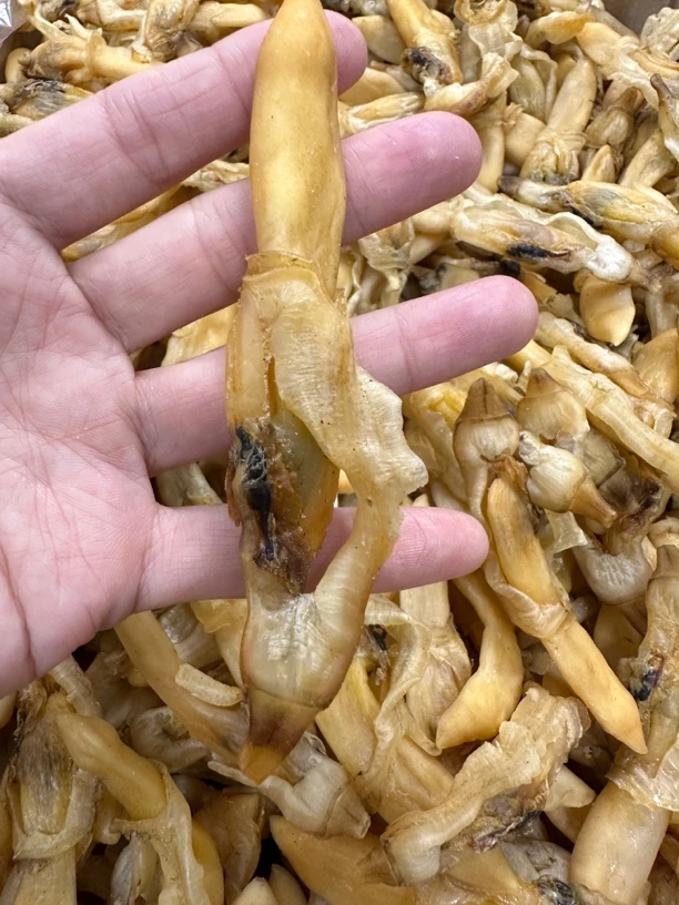 【三妹专线】大号蛏子干肉 淡干 海鲜干货