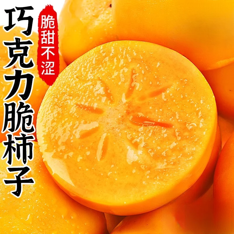 阳丰巧克力脆柿甜柿新鲜水果大柿子脆柿子冰糖心脆柿新鲜整箱包邮