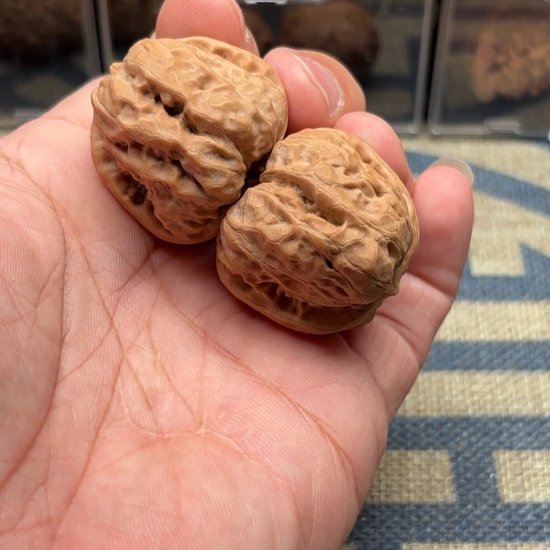 文玩核桃把件蛤蟆37