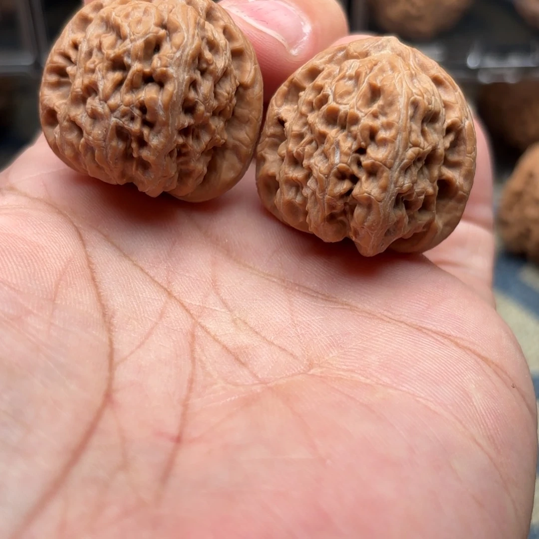 文玩核桃把件永****?白狮子34