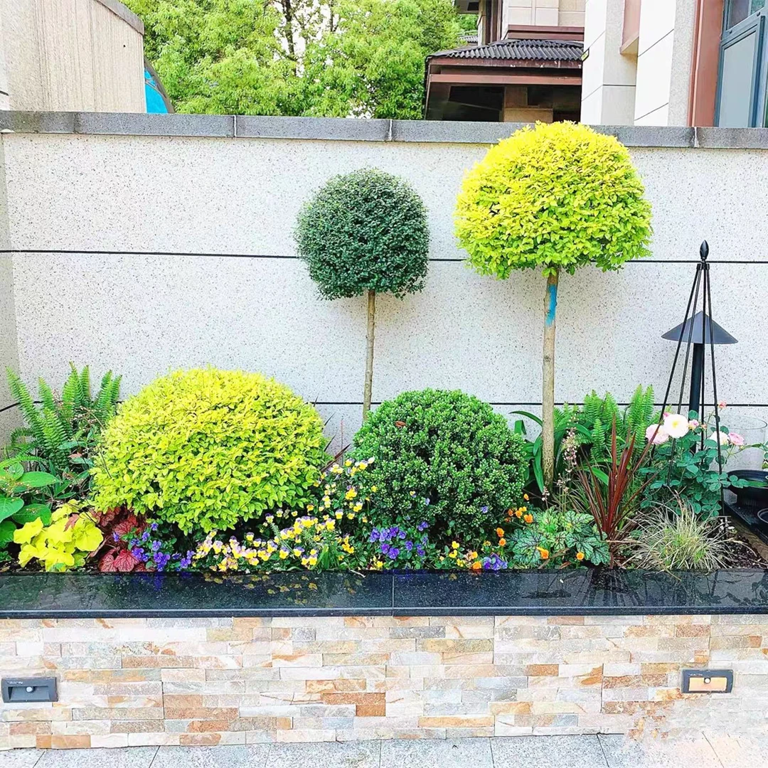 花镜设计定制阳台庭院花镜组合耐高温庭院造景美化