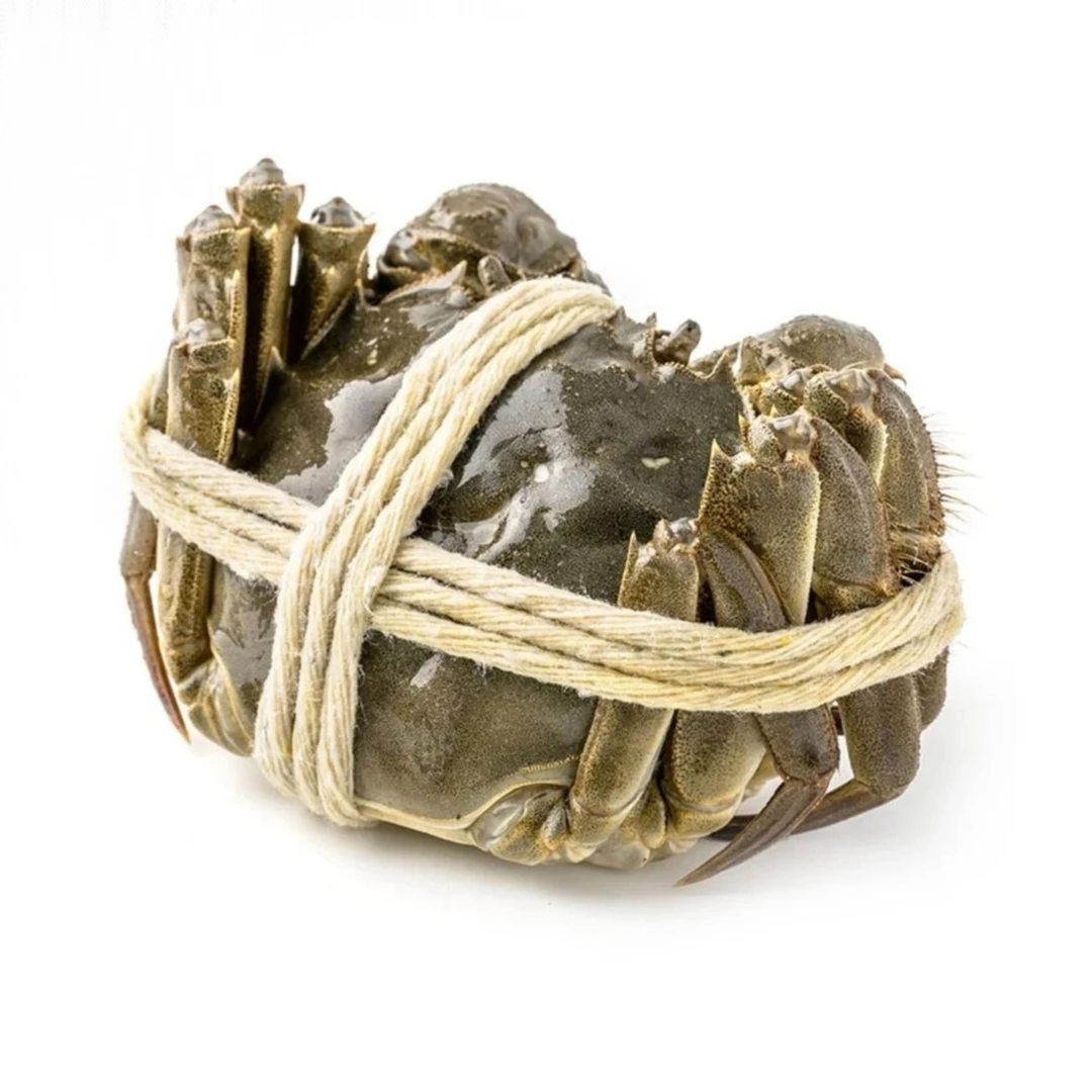 BJ【母蟹】【2.4-2.8两/只*6只、8只、10只装任选】苏州大闸蟹 活蟹 包有黄