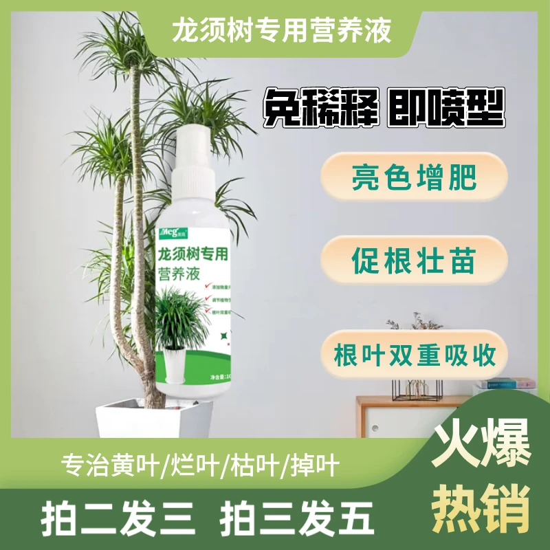 【龙须树营养液】龙血树增肥催芽防黄叶掉叶枯叶即喷型烂根免稀释