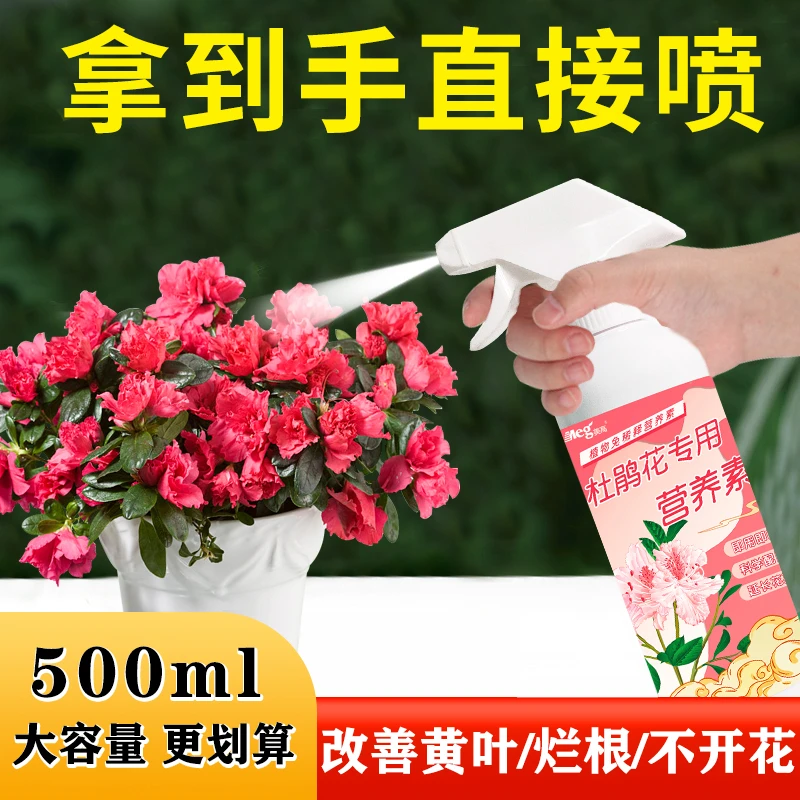 【杜鹃花专用营养液】喜酸植物肥料促开花预防黄叶掉叶直喷