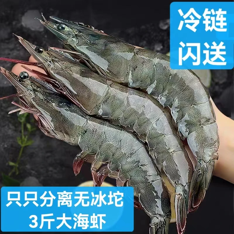 4050规格盐冻大虾白对虾 速冻大虾 海鲜水产鲜活大虾净重2.7斤