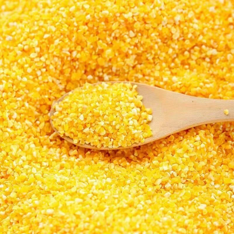 粗粮煮意 东北玉米小碴子 玉米碎 苞米茬子 玉米糁 新玉米颗粒