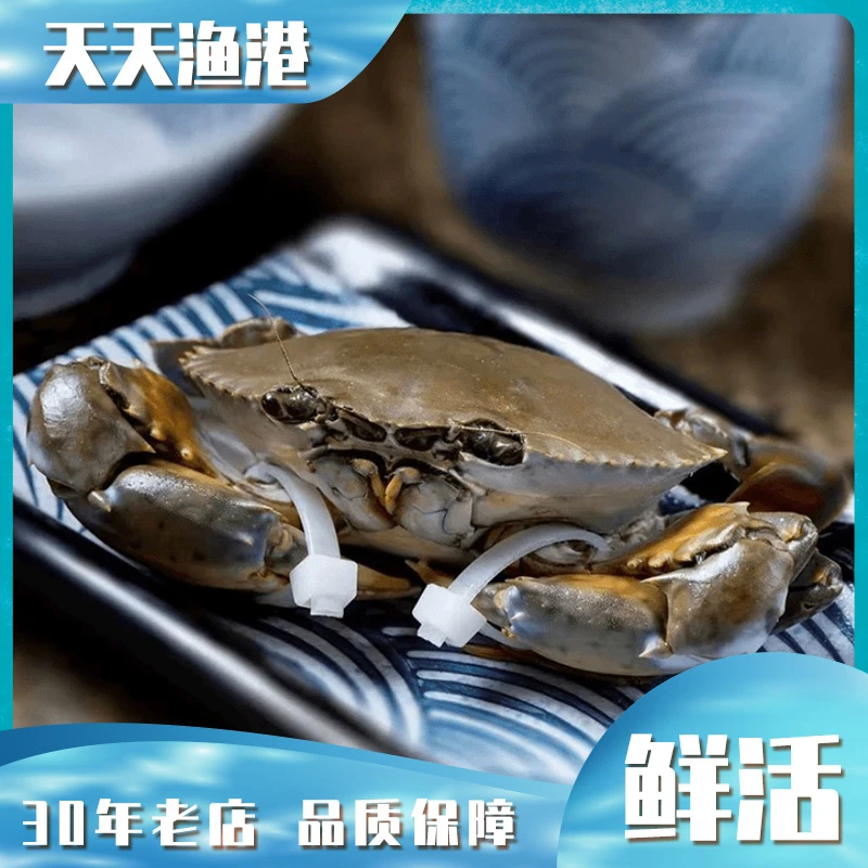 膏蟹 鲜活个个有膏（400g-500g）