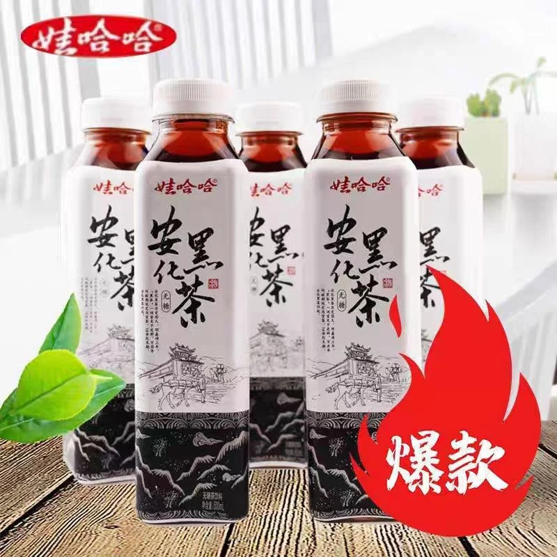 【新品尝鲜】娃/哈哈安化黑茶无糖茶饮500ml*15瓶/箱