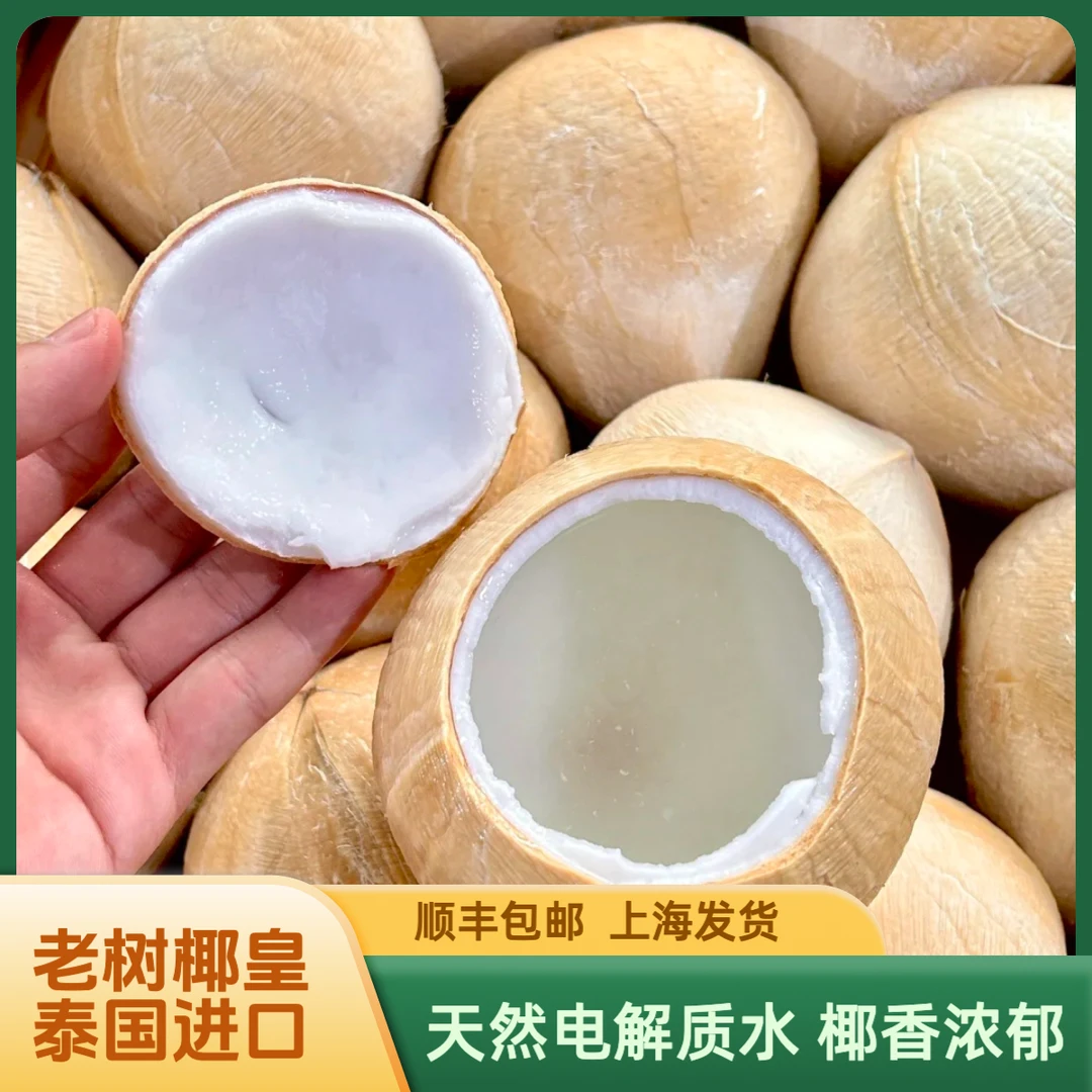老树椰皇·丹嫩沙多椰皇新鲜进口顺丰包邮