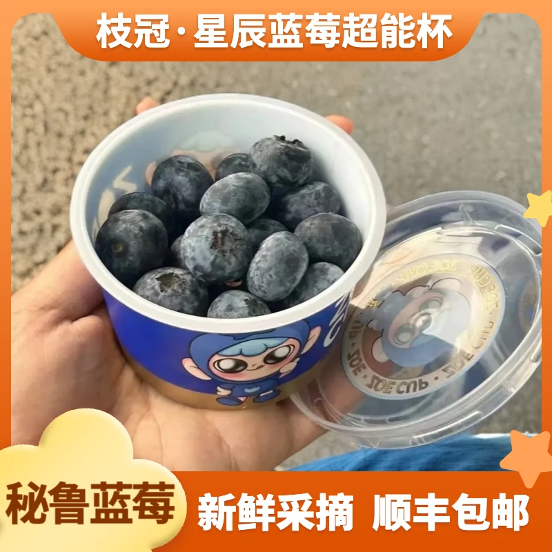 枝冠·星辰蓝莓超能杯 新鲜采摘秘鲁蓝莓进口 应季水果【顺丰包邮】