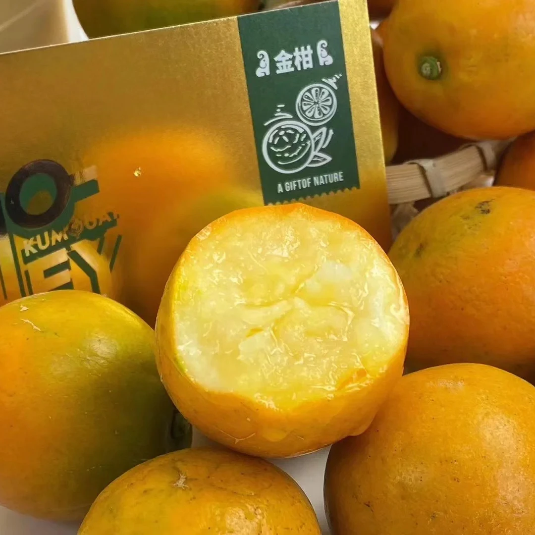 脆蜜金柑纯甜爆汁精选柑橘水果季节限定尝鲜/礼盒装顺丰包邮