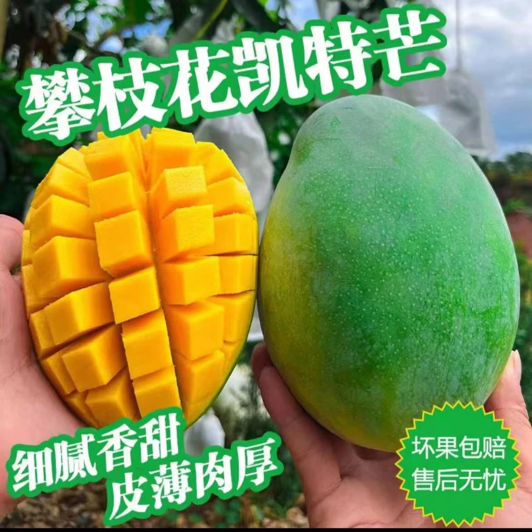 【王橘专属】四川攀枝花凯特芒果纯甜多汁【收到放软吃坏果包赔】1