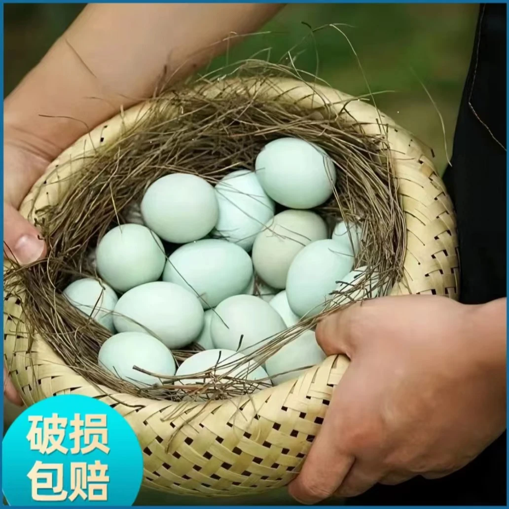 新鲜土鸭蛋绿壳绿皮红心正宗农家散养现捡现发营养中等个头一整箱