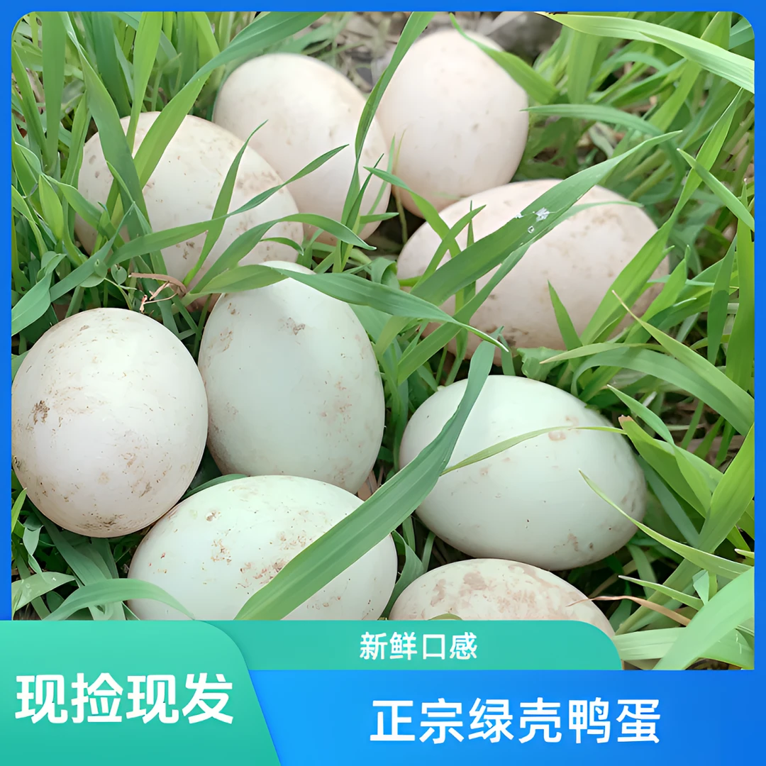 土鸭蛋[ 现捡现发 ]自家散养生态新鲜营养土鸭蛋口感细腻味道鲜美