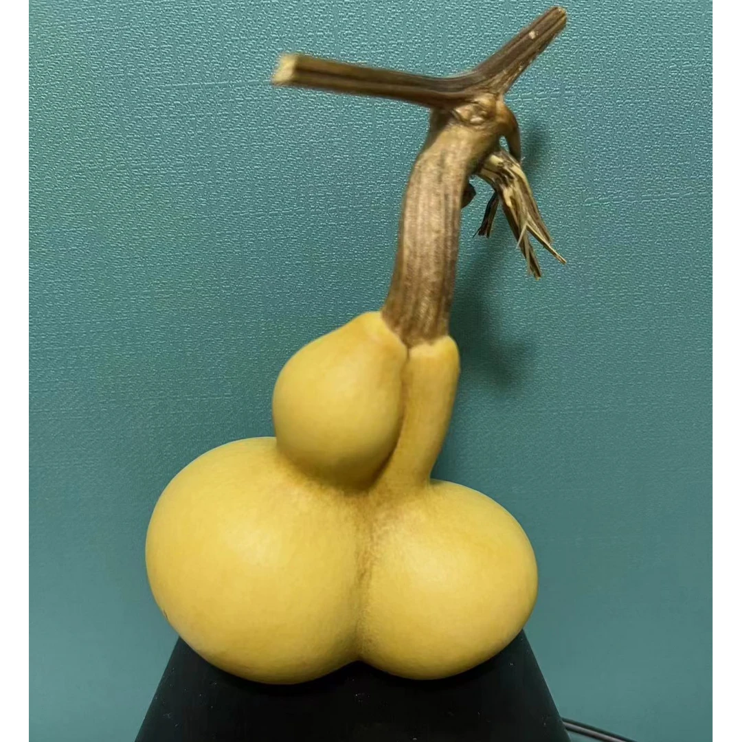 精品天然手把葫芦