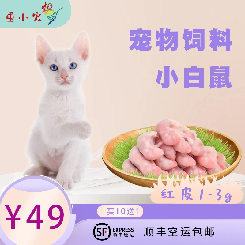 【川渝】红皮粉皮白霜小白鼠宠物饲料精选爬宠饲料品质冷冻