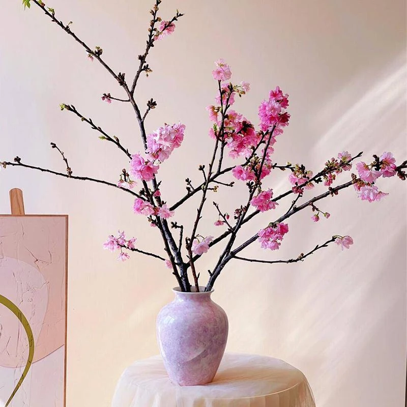樱花｜鲜切枝水培植物室内插花水养鲜花开花植物带花苞花卉盆栽