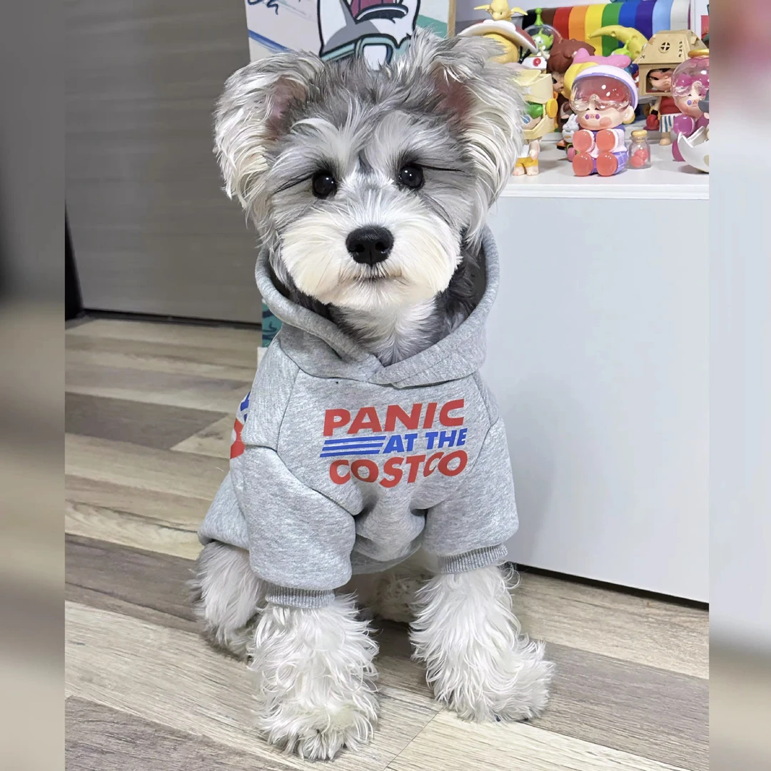 新款宠物连帽卫衣雪纳瑞比熊泰迪狗狗衣服中小型犬宠物衣服加绒