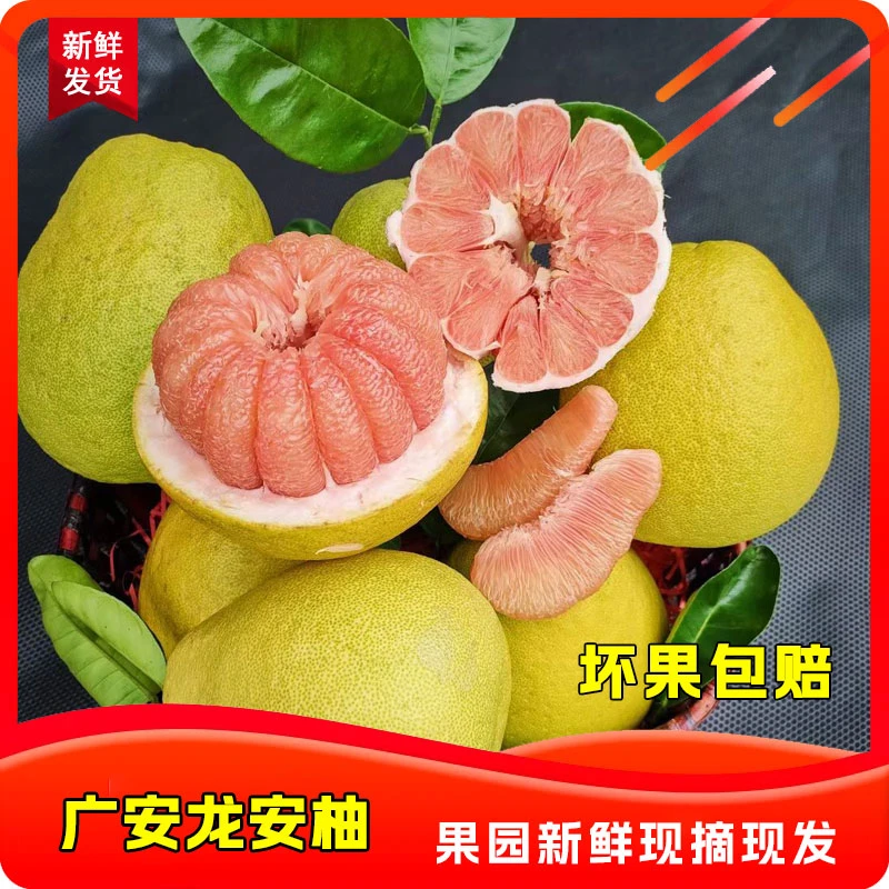 四川广安正宗一级龙安柚 广安特产新鲜柚子 红心柚