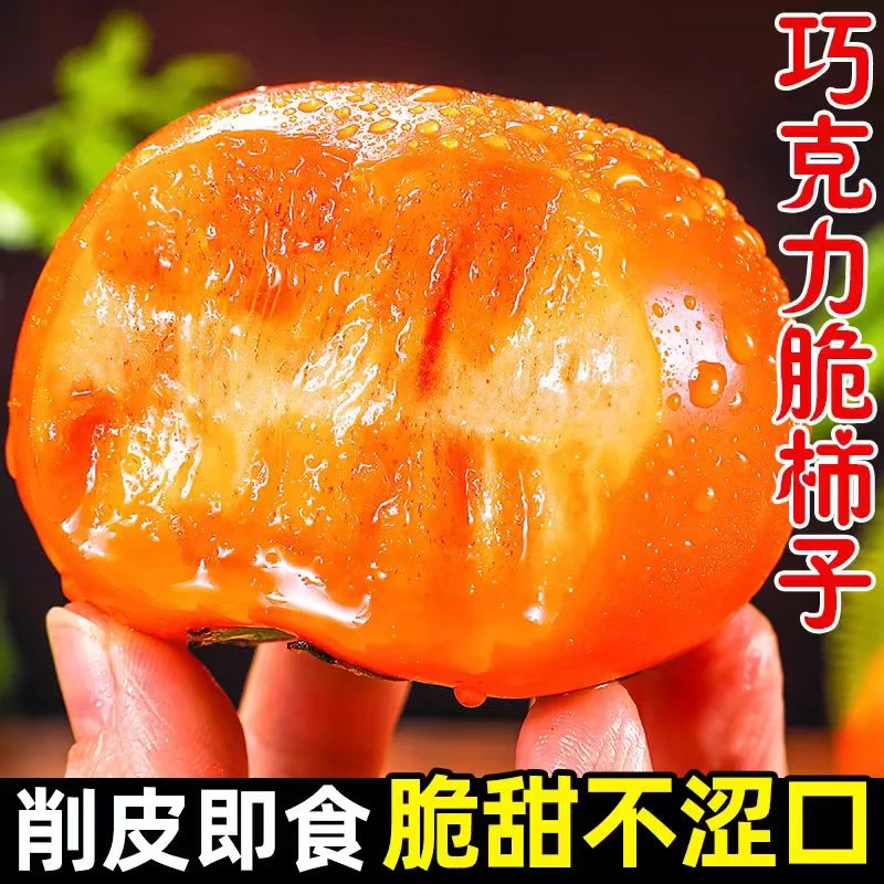 【削皮食用】正宗广西巧克力脆柿子新鲜脆甜多汁当季水果带箱5斤
