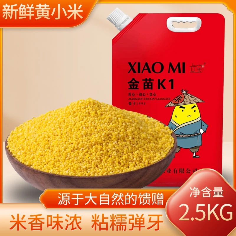 立宝金苗K1黄小米东北朝阳2023年新米农家米天然营养秋季