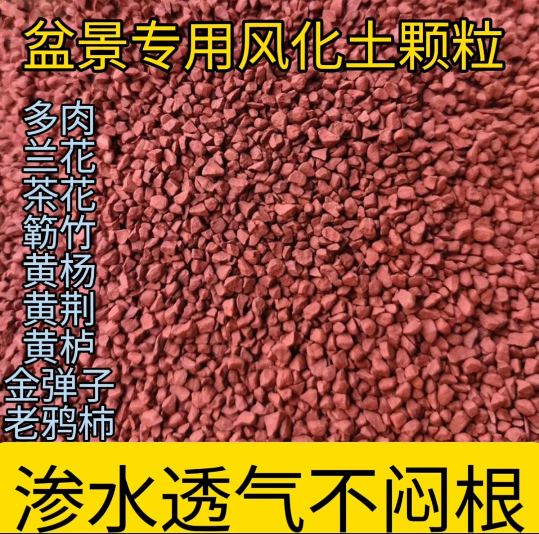 天然风化石9.5斤金弹子老鸦柿兰花营养土颗粒盆景专用酸性红砂土