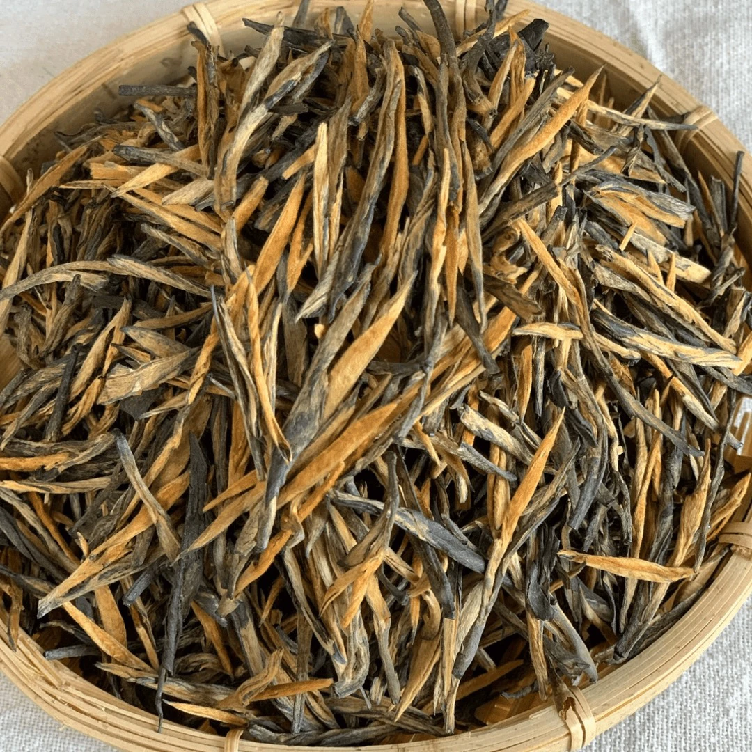 云南24头春古树滇红《蜜香松针》