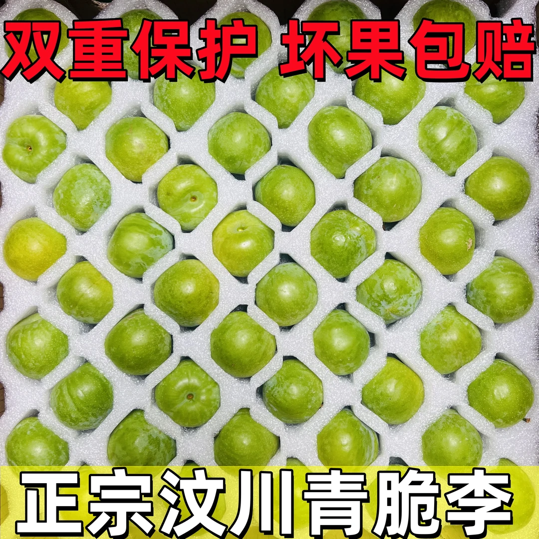 正宗汶川李单独包装青脆李脱骨李青李子土李子酸甜脆李子坏果包赔