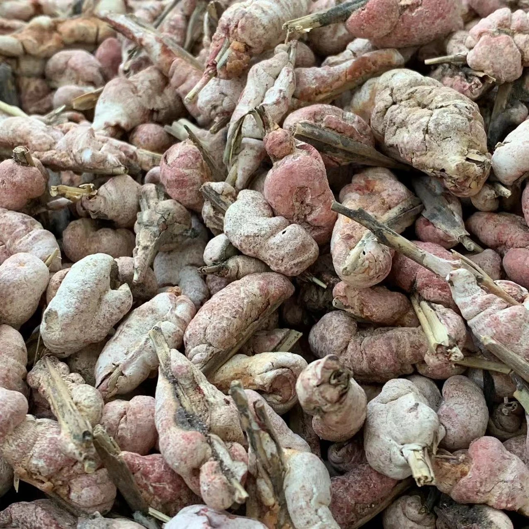 【阿海精选】下山货~竹黄