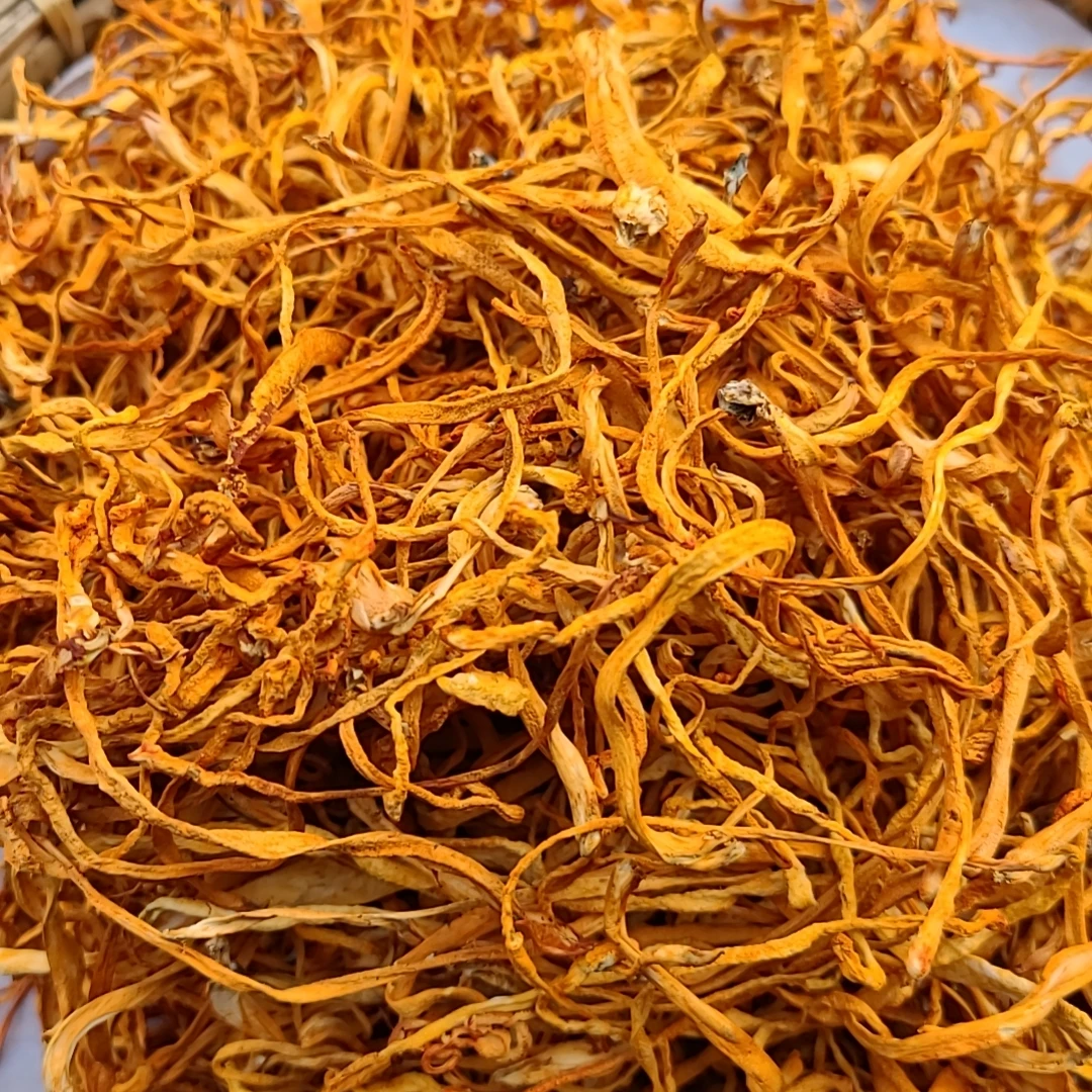 【海天精选】山货虫草花