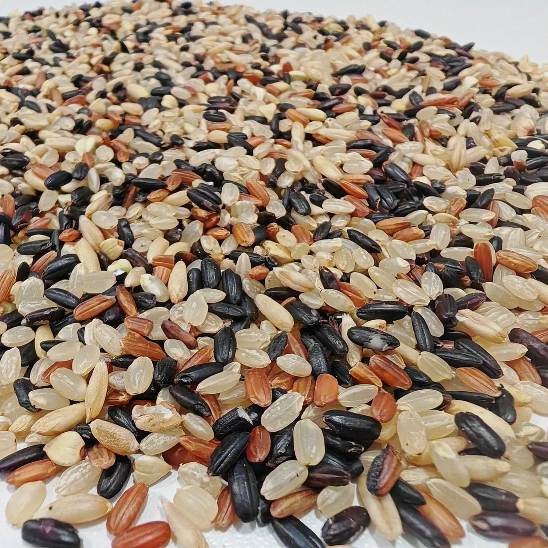 【厂家直发】东北七色糙米 营养糙米 2.5kg每袋膳食健康 新鲜新粮