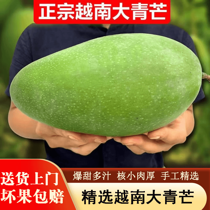 进口越南大青芒果新鲜特大果青皮水仙金煌芒9斤热带水果当季整箱