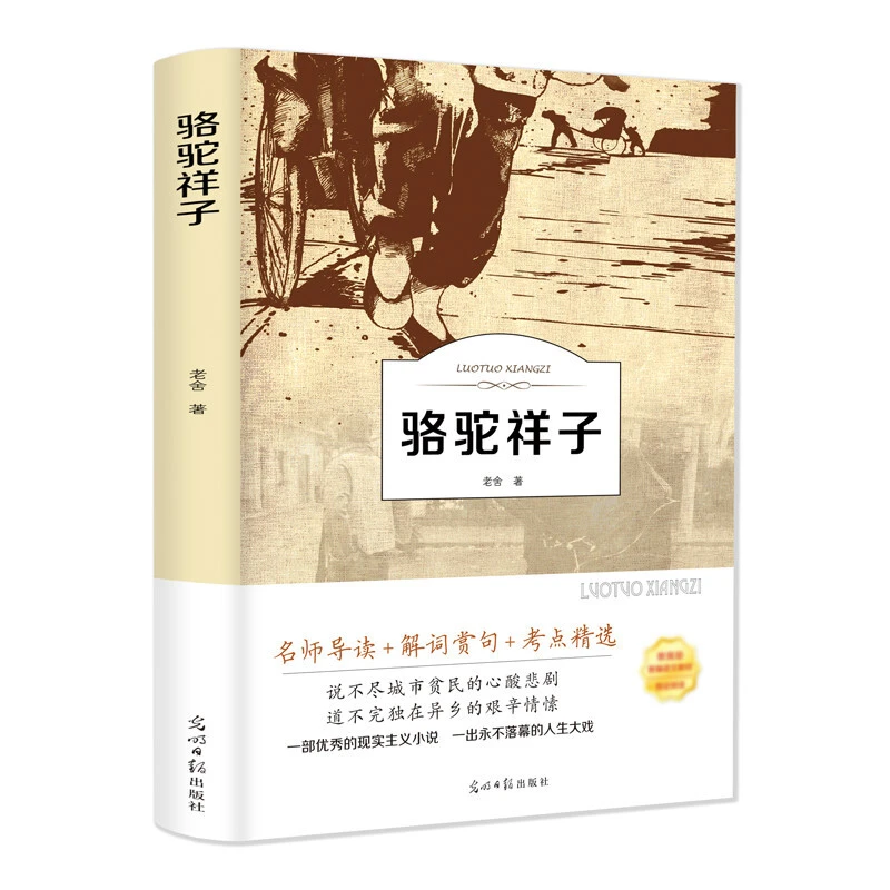 骆驼祥子 老舍 现当代文学小说作品集散文集 骆驼的样子