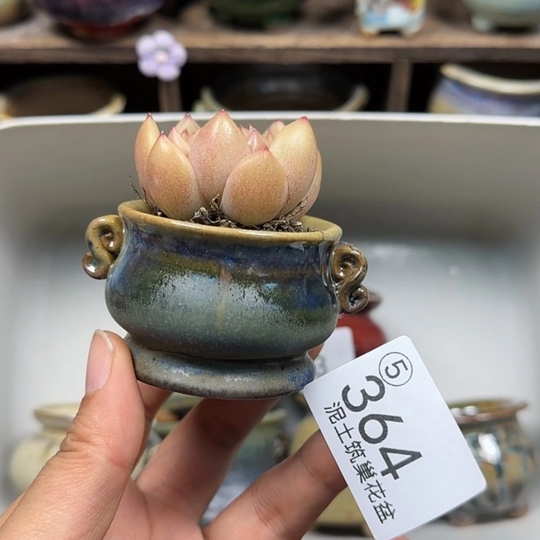 【闪购商品】陶瓷罐