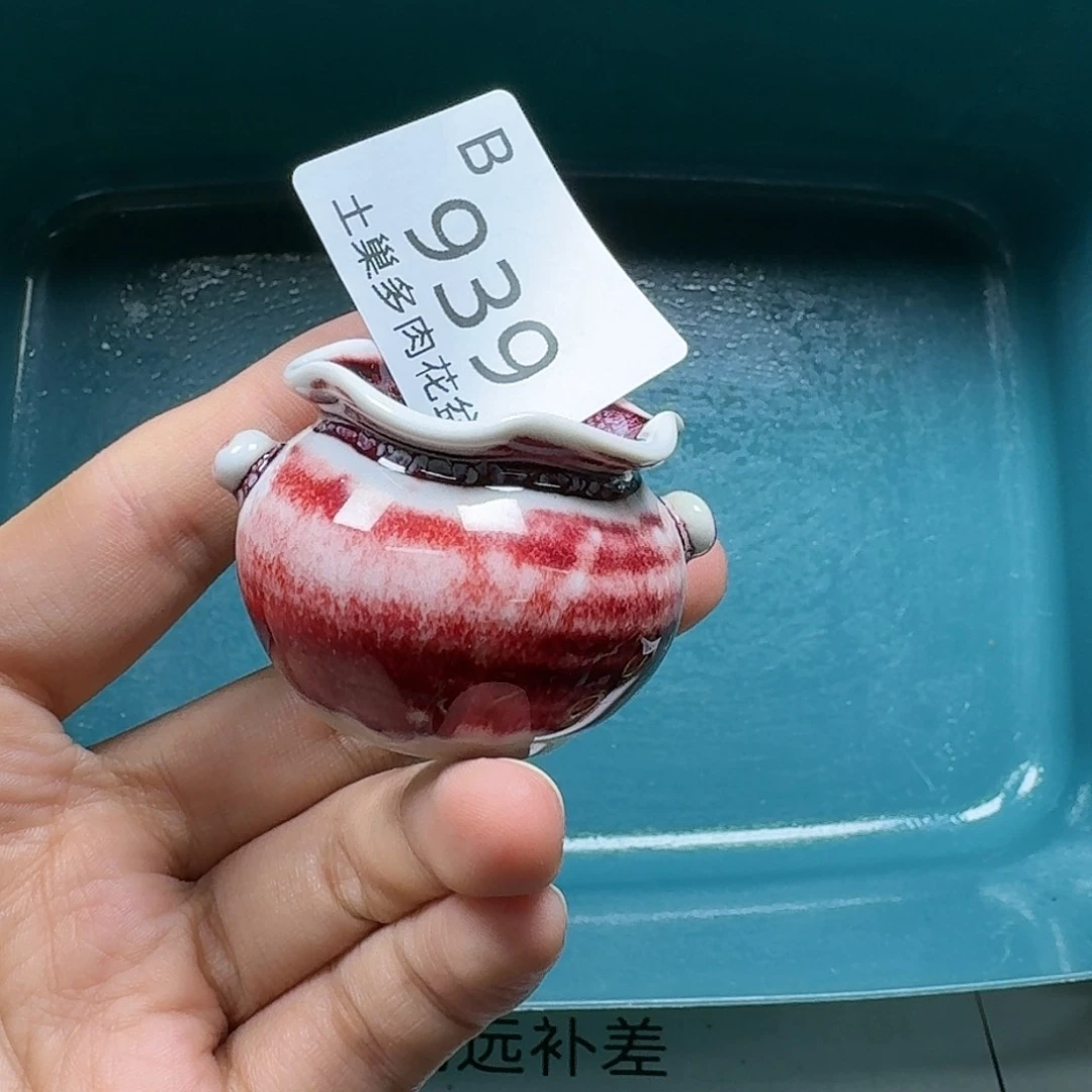 罐C****e陶瓷艺术设计与制作