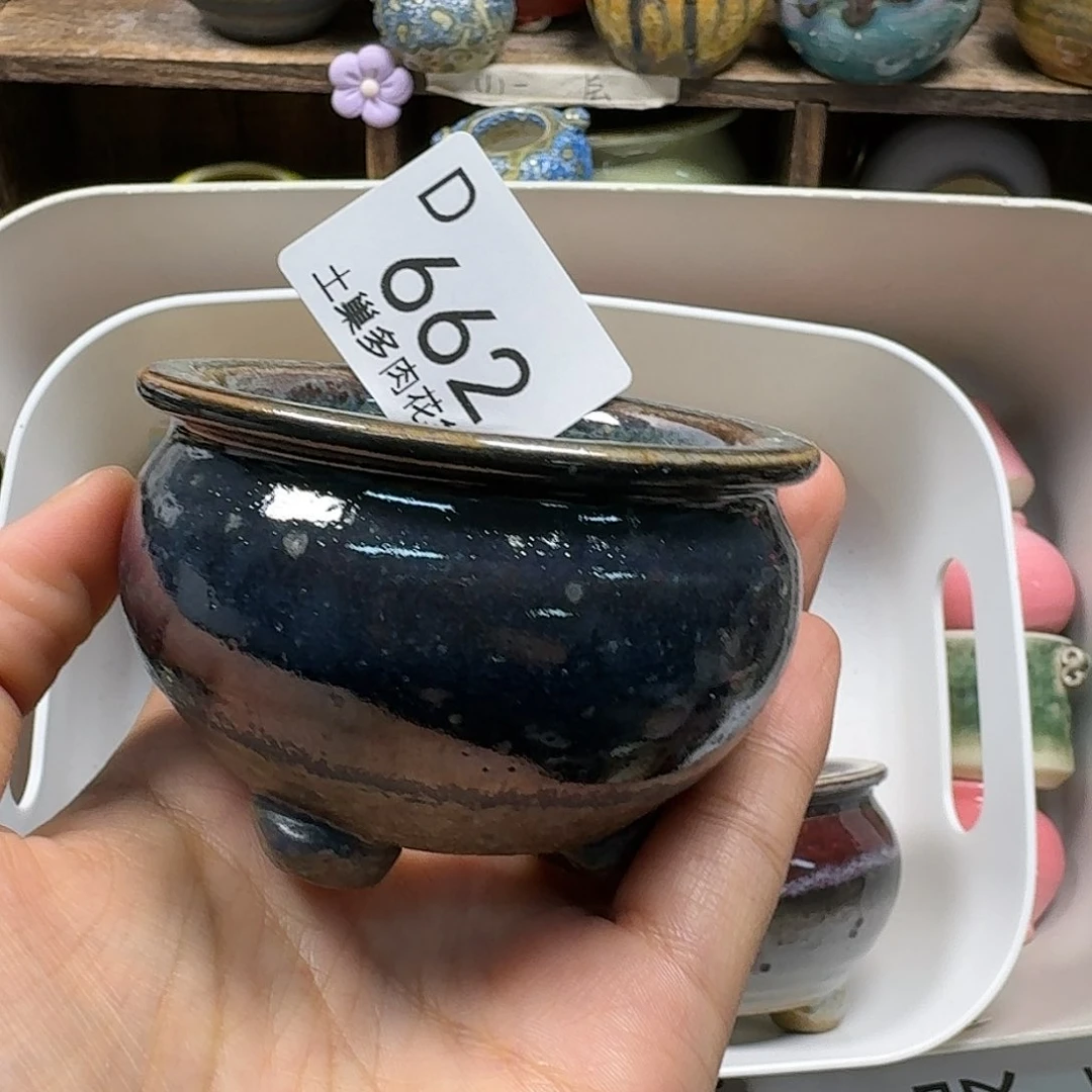 罐橘****宝陶瓷艺术设计与制作