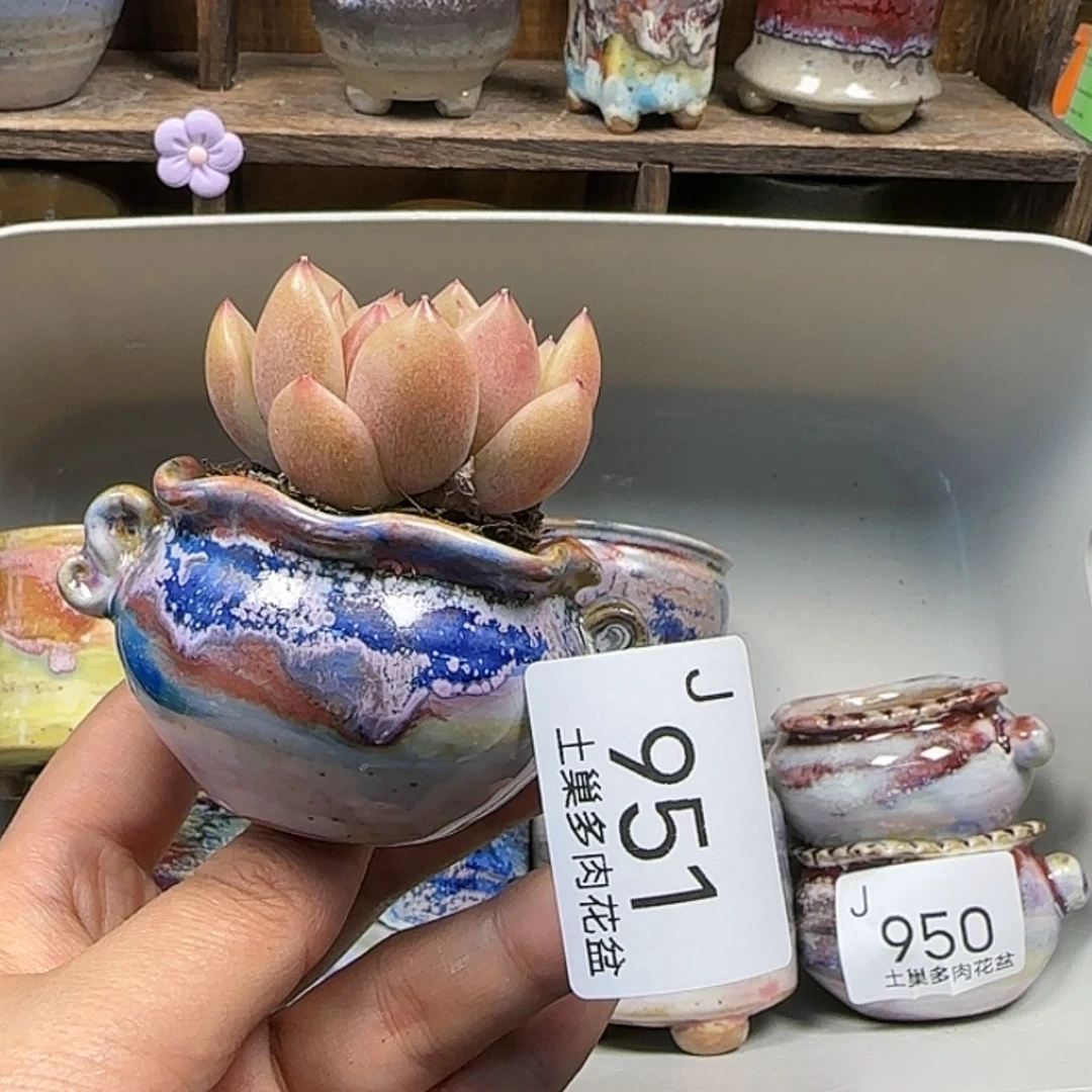 【闪购商品】陶瓷罐