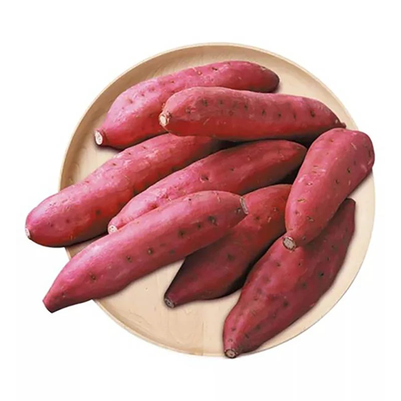 红薯 红苕约1kg/份