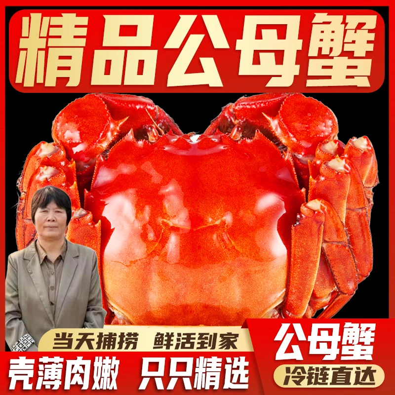 【江苏活蟹】鲜活大闸蟹  公3.1-2.8两 母2.5-2.2两 各5只 礼盒 A