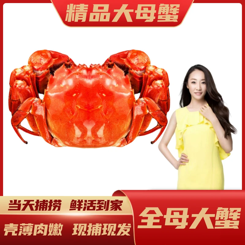 【江苏活蟹】鲜活螃蟹 全母蟹1.8-1.5两 共10只