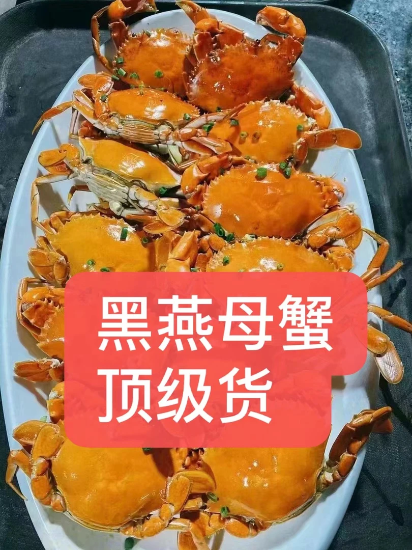 黑燕母 母蟹（也叫小娘蟹） 包膏包活 东山岛顺丰直发 不能放冰箱