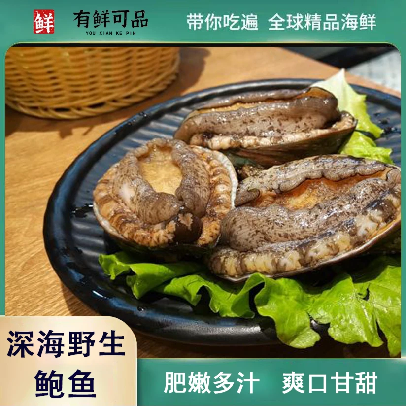 鲜活鲍鱼（1斤/7-8头）单只5-6.5cm  顺丰包邮鲜嫩饱满新鲜