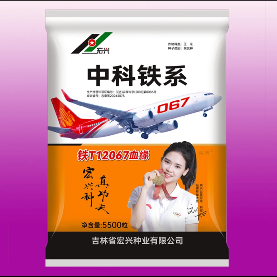 中科铁系067春播定金玉米种子