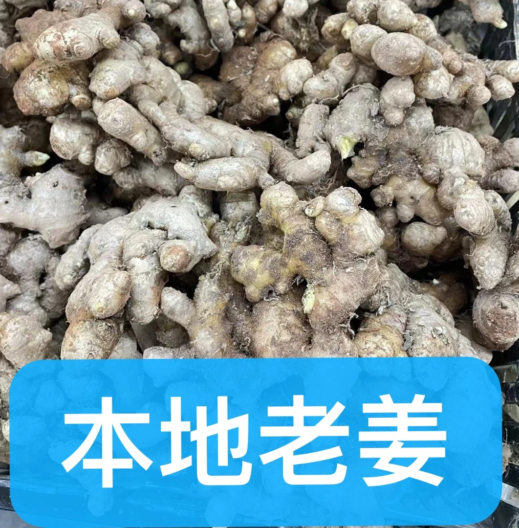 福建三明永安小黄姜生姜老姜月子姜新鲜500g