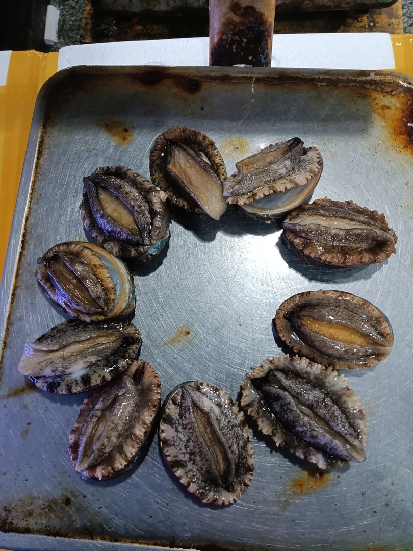 十头鲍鱼特价，（十只起包邮），只发长春，保鲜不保活